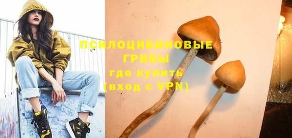гидра Белоозёрский