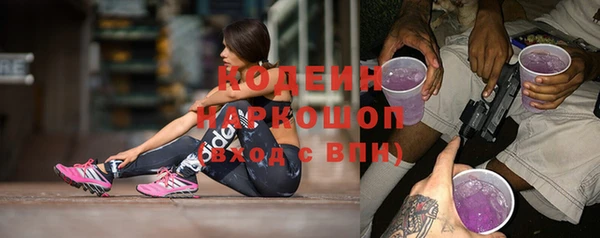 шишки Белокуриха