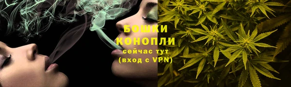 тгк Богородицк