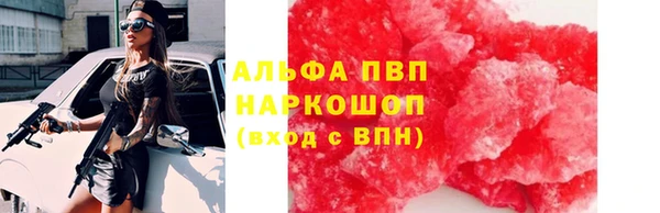 шишки Белокуриха