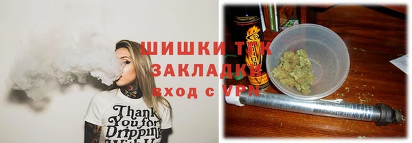 тгк Богородицк
