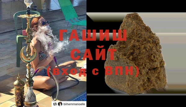 шишки Белокуриха