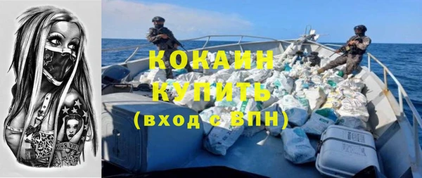 шишки Белокуриха
