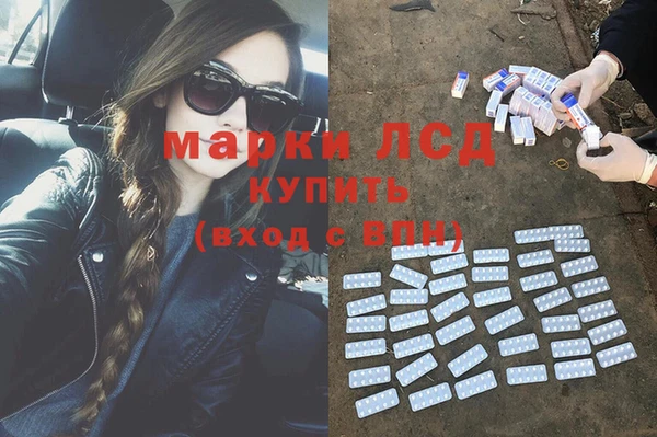 гидра Белоозёрский