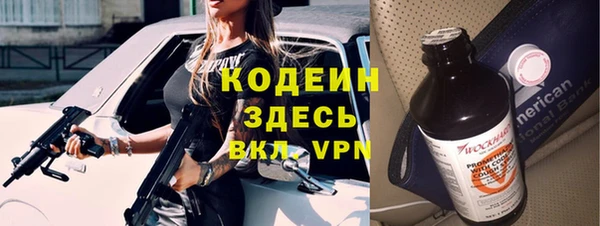 шишки Белокуриха