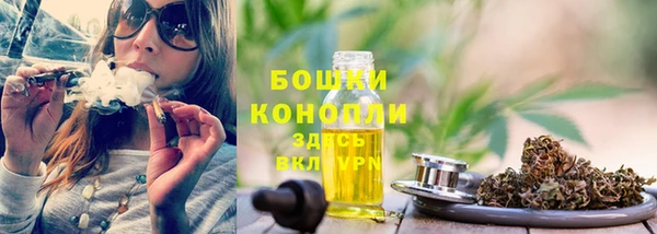 гидра Белоозёрский
