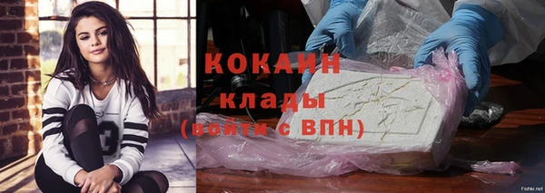шишки Белокуриха
